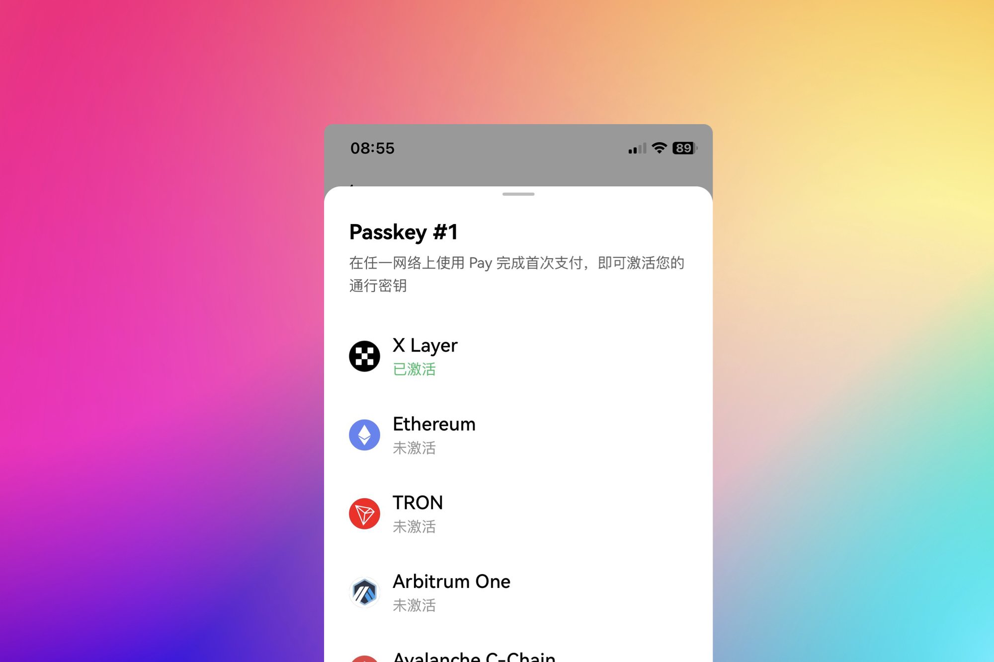 OKX Pay chain settings screenshot
