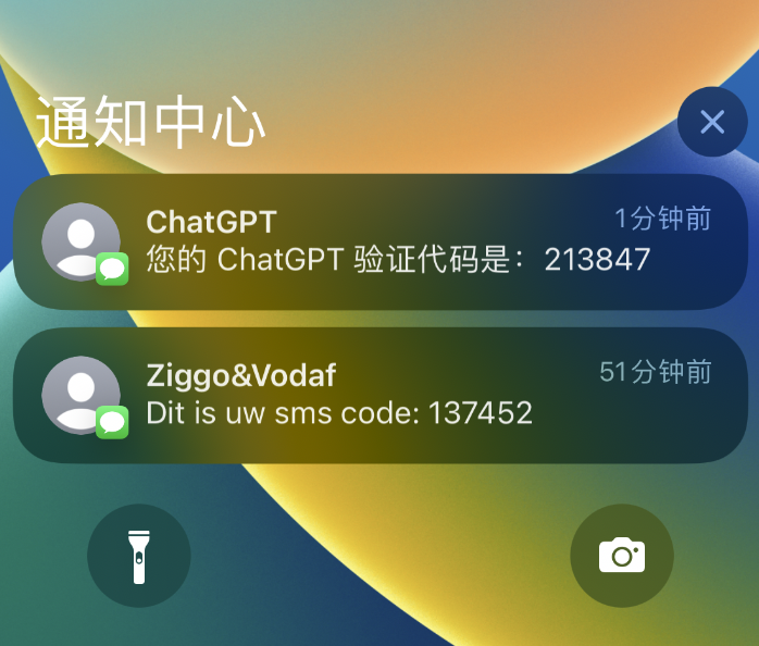 每年10块钱!无需KYC的荷兰沃达丰eSIM保号神卡全攻略。 配图 1